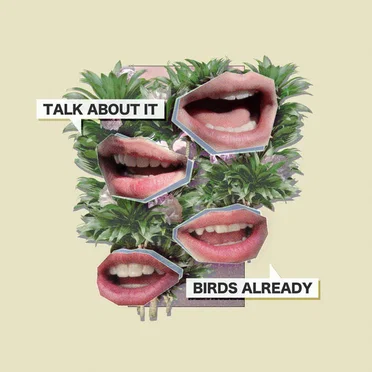 Talk About it by Birds Already - album cover
