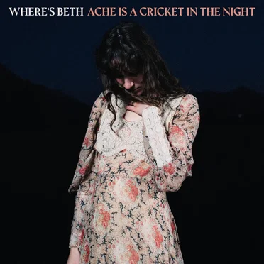Ache Is A Cricket In The Night by Where's Beth - album cover