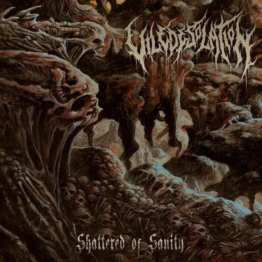 Shattered of Sanity by Vile Desolation - album cover