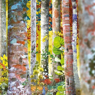 'Do You Know Me Now?’ – The Samadhisound Box Set