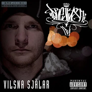 Vilsna Själar by Brejkish - album cover
