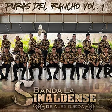 Puras del rancho vol. 1 (en vivo)