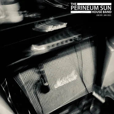 Use By: Jan 2021 by The Perineum Sun House Band - album cover