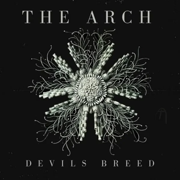 Devil's Breed (radio edit)
