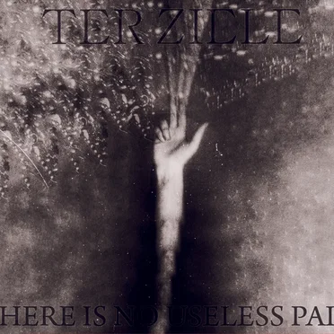 There is no useless pain