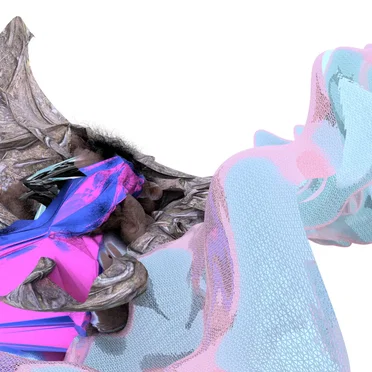 Misconduct hellnaw.com