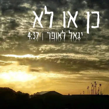 כן או לא