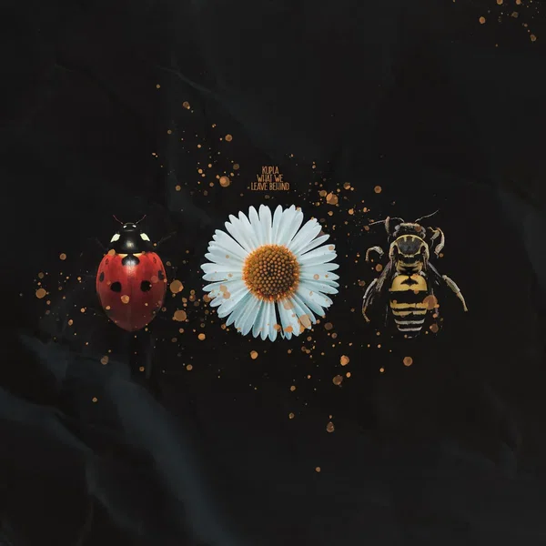 What We Leave Behind