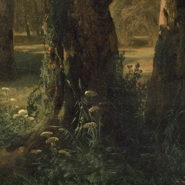 Woodland Gardens II