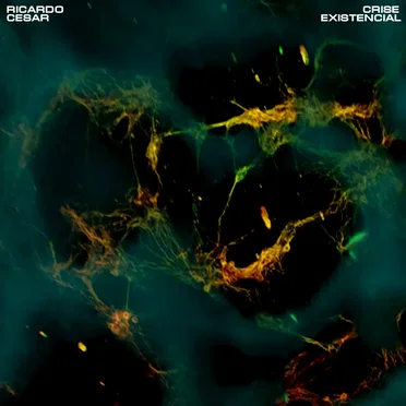 Crise Existencial by Ricardo Cesar - album cover