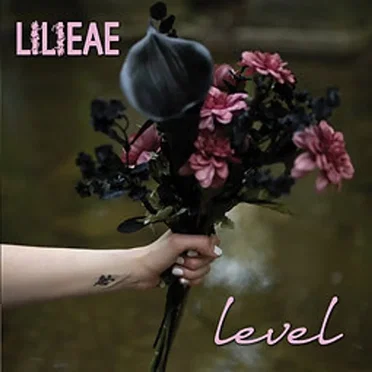 Level