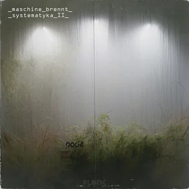 Systematyka II by Maschine Brennt - album cover