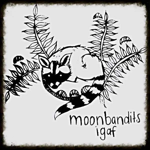 moon bandits / igaf Split