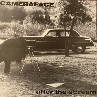 After the Scream