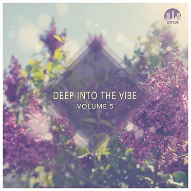Deep Into the Vibe, Volume 5 by Various Artists - album cover