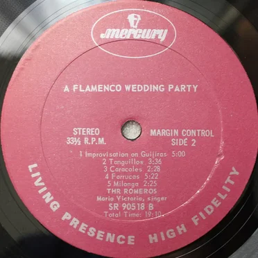 A Flamenco Wedding Party