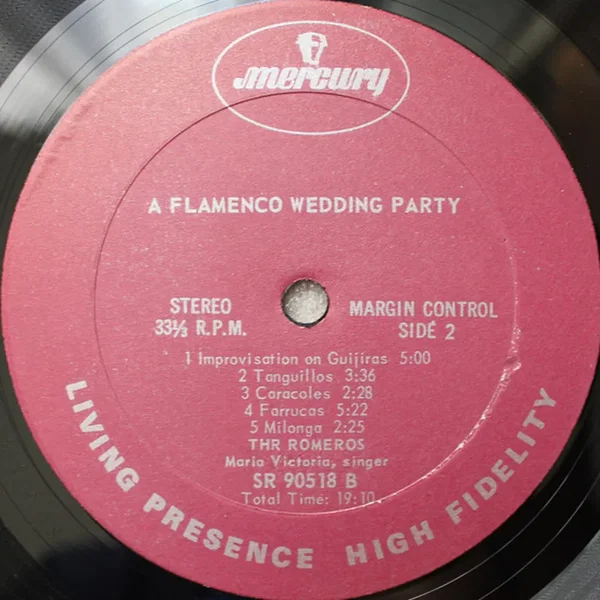 A Flamenco Wedding Party