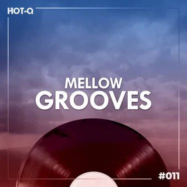 Mellow Grooves 011 by Various Artists - album cover
