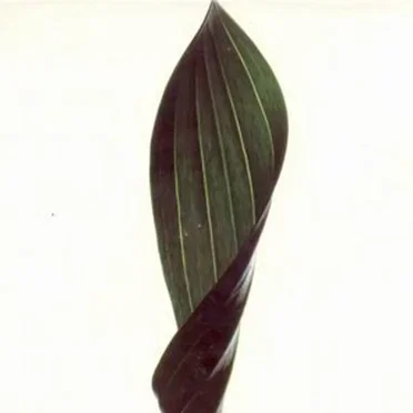 Renaissance: The Mix Collection, Part 4