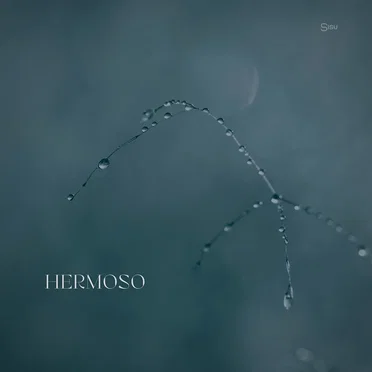 Hermoso by Sisu - album cover