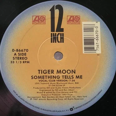 Something Tells Me by Tiger Moon - album cover