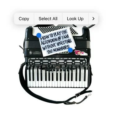 HOW TO PLAY THE ACCORDION @1AM WITHOUT UPSETTING THE NEIGHBORS