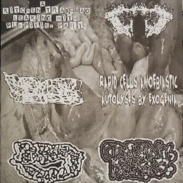 6-Way Split