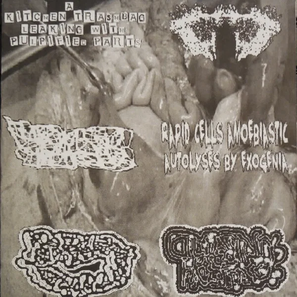 6-Way Split