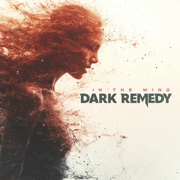 In the Wind by Dark Remedy - album cover
