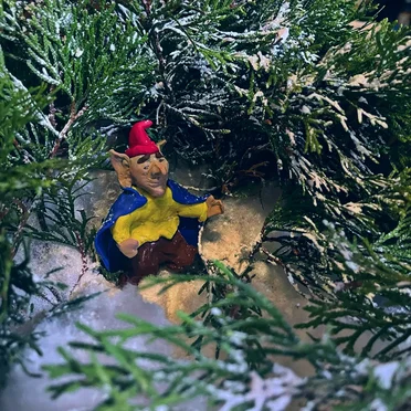 The Sceret Lives of Elves in Winter