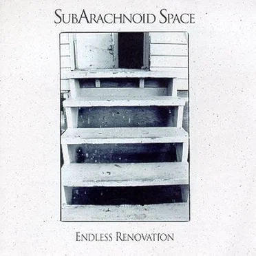 Endless Renovation