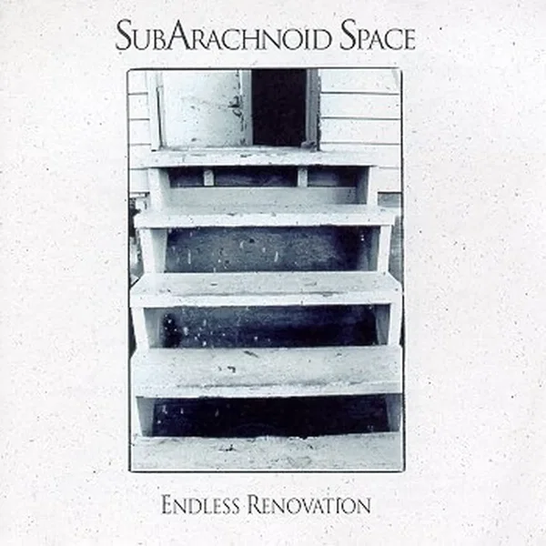 Endless Renovation