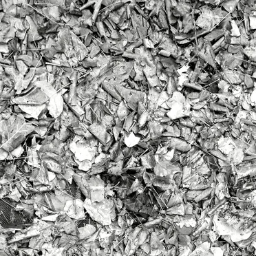 The Lawlor Park Piano Recursions