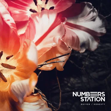Quiver / Honesty by Numbers Station - album cover