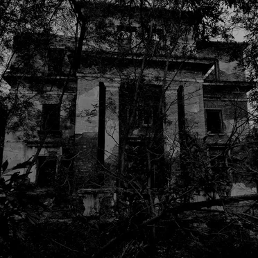 From the Hill a View by And From These Wounds - album cover
