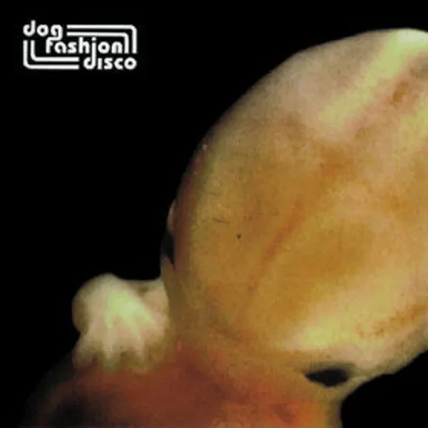 The Embryo’s in Bloom