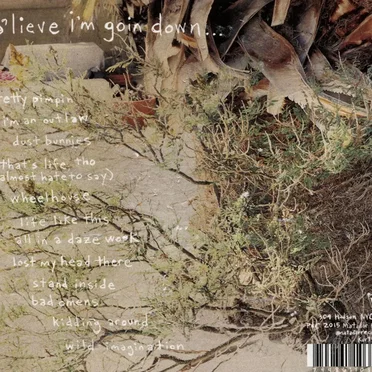 b’lieve i’m goin down…