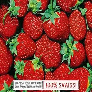 100% svaigs! by Various Artists - album cover