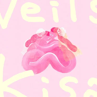Veils