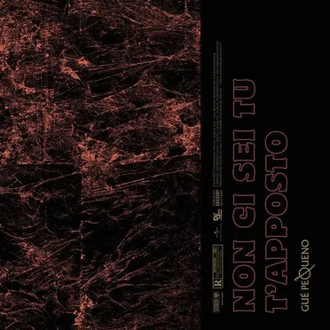 Non ci sei tu / T'apposto