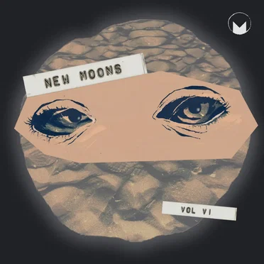New Moons, Volume VI by Various Artists - album cover