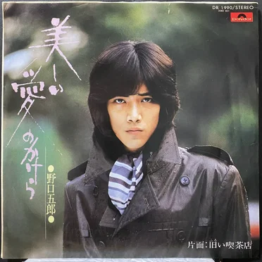 美しい愛のかけら