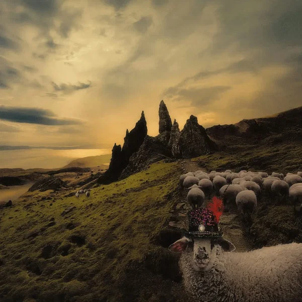 Sheeple