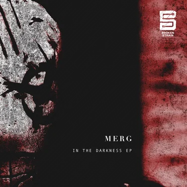 In the Darkness by Merg - album cover