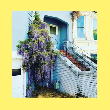 They Only Wanted Your Soul by The Reds, Pinks & Purples - album cover