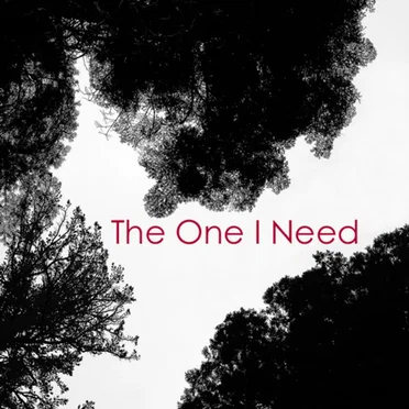 “The One I Need”