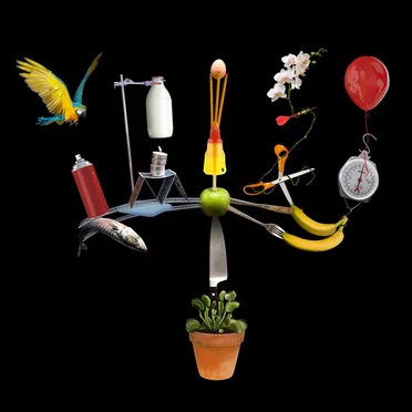 The Big Other by Fiction - album cover