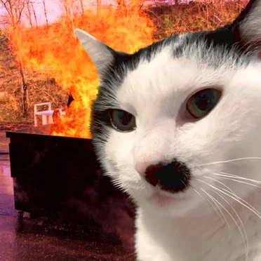 boogercore by Milk In The Microwave - album cover