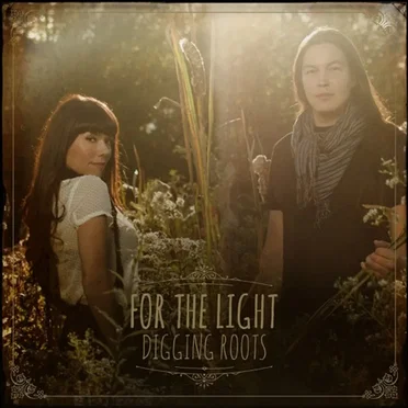 For the Light by Digging Roots - album cover