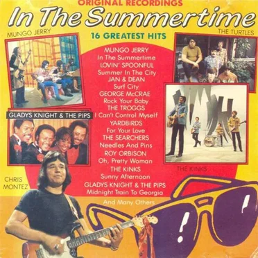 In the Summertime – 16 Greatest Hits by Various Artists - album cover